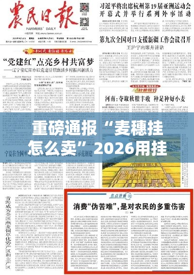 重磅通报“麦穗挂怎么卖”2026用挂