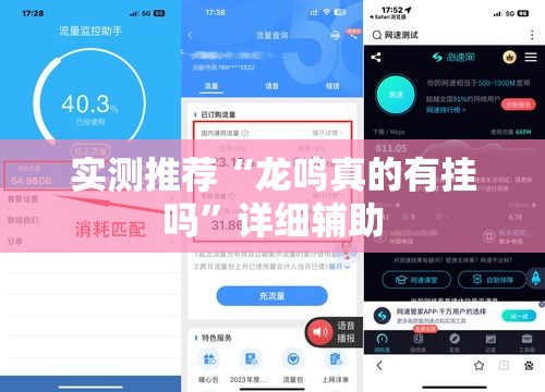 实测推荐“龙鸣真的有挂吗”详细辅助