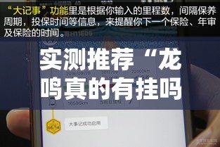 实测推荐“龙鸣真的有挂吗”详细辅助