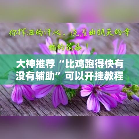 大神推荐“比鸡跑得快有没有辅助”可以开挂教程