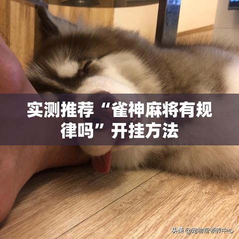 实测推荐“雀神麻将有规律吗”开挂方法