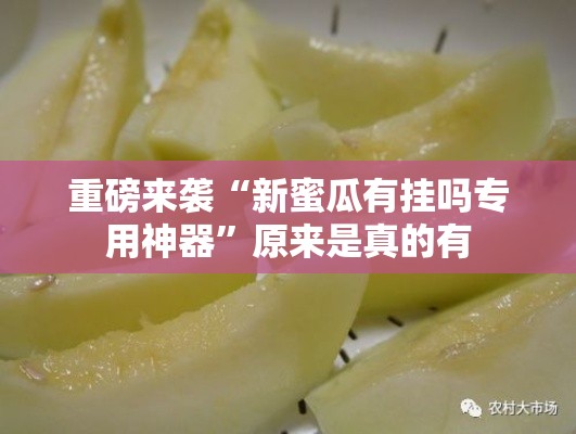 重磅来袭“新蜜瓜有挂吗专用神器”原来是真的有