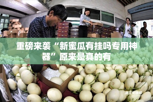 重磅来袭“新蜜瓜有挂吗专用神器”原来是真的有