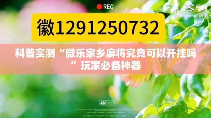 科普实测“微乐家乡麻将究竟可以开挂吗	”玩家必备神器