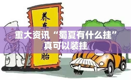 重大资讯“蜀夏有什么挂”真可以装挂