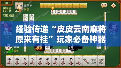 经验传递“皮皮云南麻将原来有挂”玩家必备神器