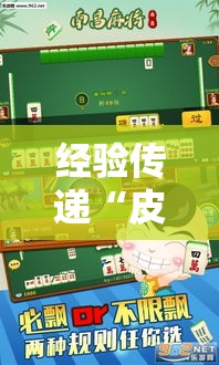 经验传递“皮皮云南麻将原来有挂”玩家必备神器
