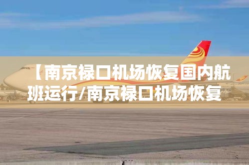 【南京禄口机场恢复国内航班运行/南京禄口机场恢复国内航班运行最新消息】