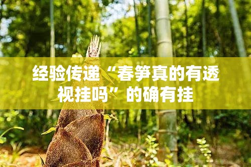 经验传递“春笋真的有透视挂吗”的确有挂