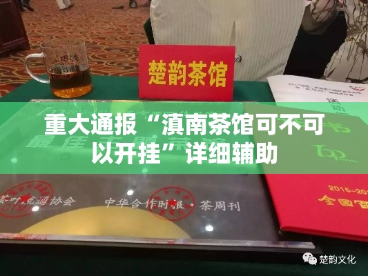 重大通报“滇南茶馆可不可以开挂	”详细辅助