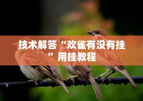 技术解答“欢雀有没有挂”用挂教程
