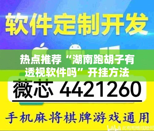 热点推荐“湖南跑胡子有透视软件吗”开挂方法