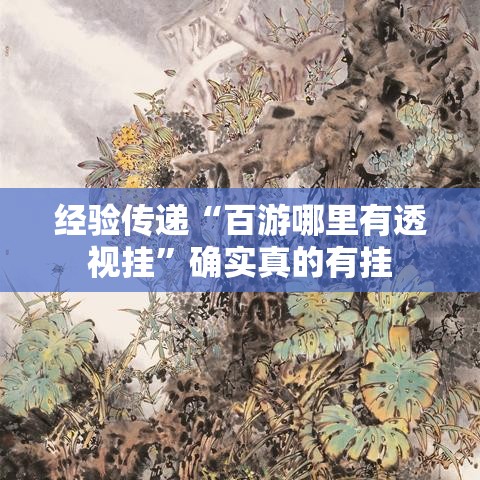 经验传递“百游哪里有透视挂	”确实真的有挂