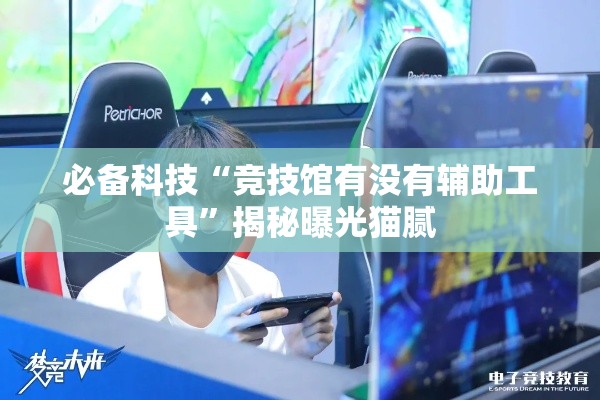 必备科技“竞技馆有没有辅助工具”揭秘曝光猫腻