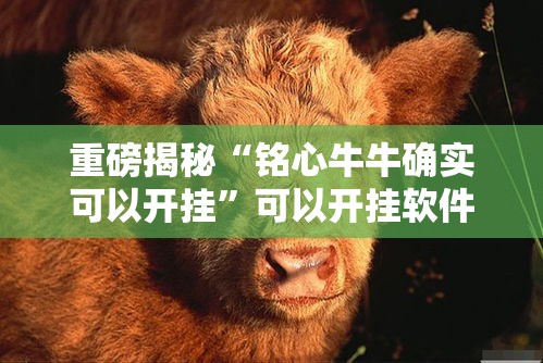 重磅揭秘“铭心牛牛确实可以开挂	”可以开挂软件