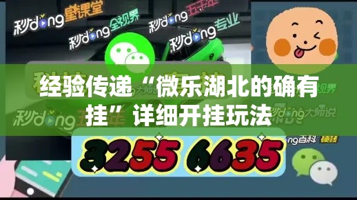 经验传递“微乐湖北的确有挂	”详细开挂玩法