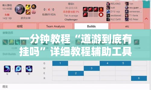 一分钟教程“道游到底有挂吗”详细教程辅助工具