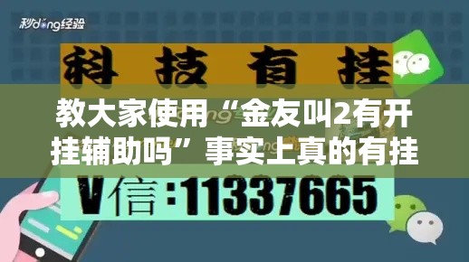 教大家使用“金友叫2有开挂辅助吗	”事实上真的有挂