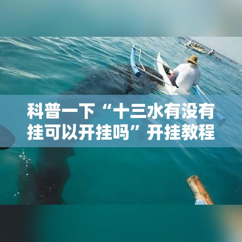 科普一下“十三水有没有挂可以开挂吗”开挂教程!
