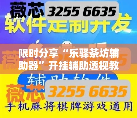 限时分享“乐驿茶坊辅助器	”开挂辅助透视教程