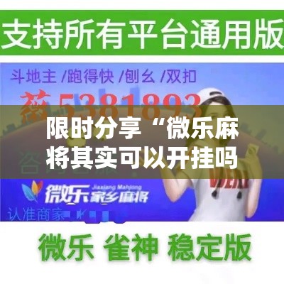 限时分享“微乐麻将其实可以开挂吗”太坑了原来有挂