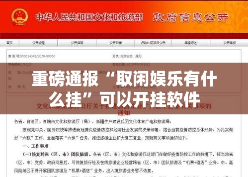 重磅通报“取闲娱乐有什么挂”可以开挂软件