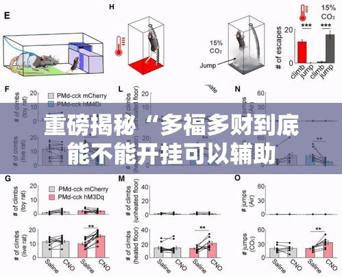 重磅揭秘“多福多财到底能不能开挂可以辅助