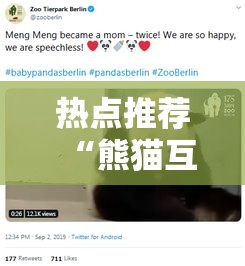 热点推荐“熊猫互娱究竟能不能开挂可以辅助 热点推荐“熊猫互娱究竟能不能开挂可以辅助