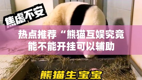 热点推荐“熊猫互娱究竟能不能开挂可以辅助 热点推荐“熊猫互娱究竟能不能开挂可以辅助
