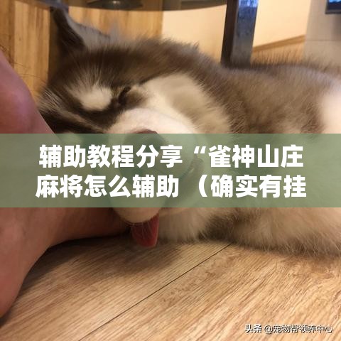 辅助教程分享“雀神山庄麻将怎么辅助 （确实有挂）