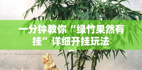 一分钟教你“绿竹果然有挂”详细开挂玩法