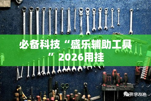 必备科技“盛乐辅助工具”2026用挂