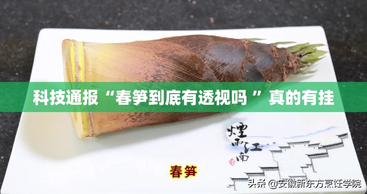 科技通报“春笋到底有透视吗 	”真的有挂