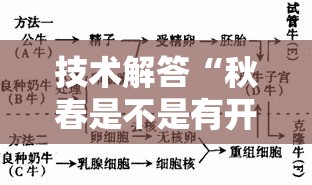 技术解答“秋春是不是有开挂”开挂步骤方法