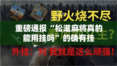 重磅通报“松滋麻将真的能用挂吗”的确有挂