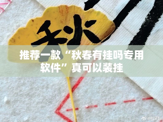 推荐一款“秋春有挂吗专用软件”真可以装挂