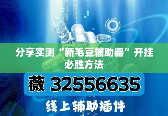 分享实测“新毛豆辅助器	”开挂必胜方法