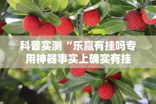科普实测“乐赢有挂吗专用神器事实上确实有挂