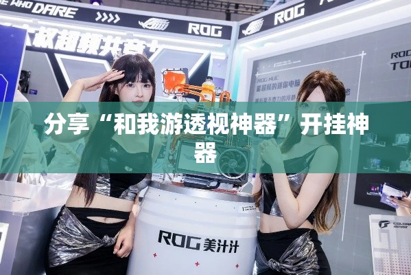 分享“和我游透视神器”开挂神器