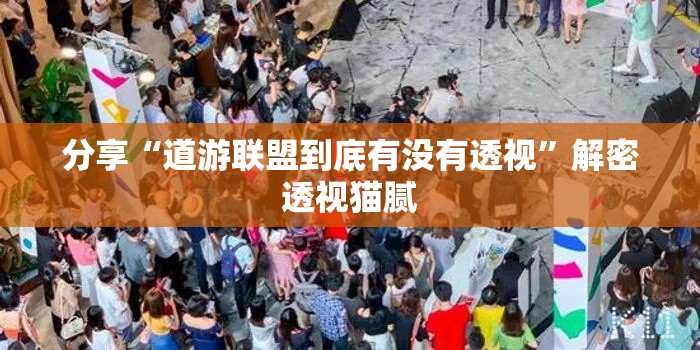 分享“道游联盟到底有没有透视	”解密透视猫腻