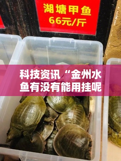 科技资讯“金州水鱼有没有能用挂呢”开挂神器