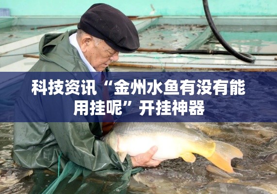 科技资讯“金州水鱼有没有能用挂呢”开挂神器