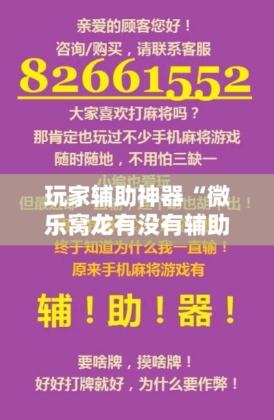 玩家辅助神器“微乐窝龙有没有辅助”详细开挂教程