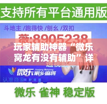 玩家辅助神器“微乐窝龙有没有辅助”详细开挂教程