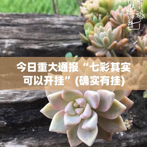 今日重大通报“七彩其实可以开挂”(确实有挂)