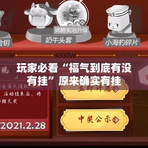 玩家必看“福气到底有没有挂”原来确实有挂