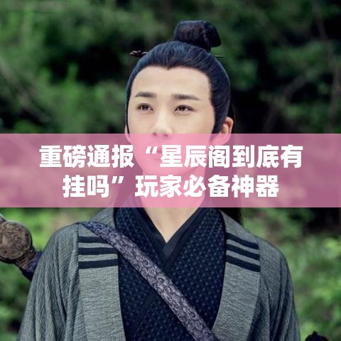 重磅通报“星辰阁到底有挂吗”玩家必备神器