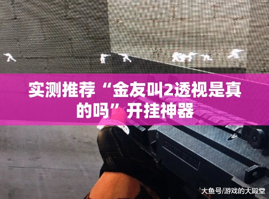 实测推荐“金友叫2透视是真的吗”开挂神器