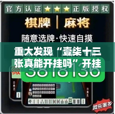 重大发现“壹柒十三张真能开挂吗”开挂详细透视辅助
