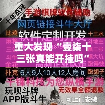 重大发现“壹柒十三张真能开挂吗”开挂详细透视辅助